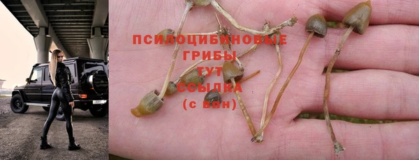 a pvp Алзамай