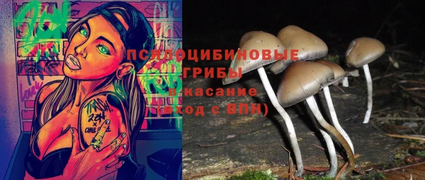 первитин Алексин