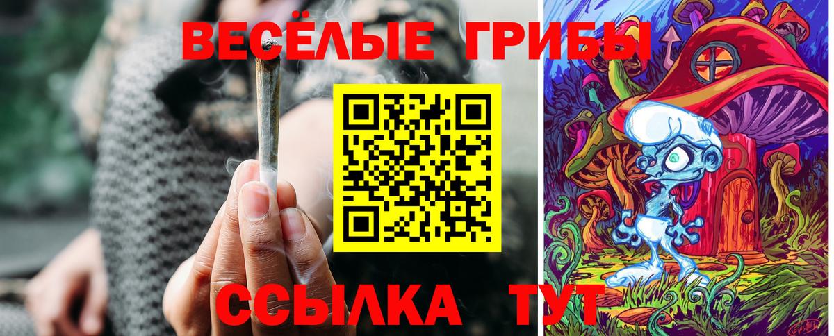 дарнет шоп  Псилоцибиновые грибы прущие грибы  Вход с VPN  Усть-Лабинск 